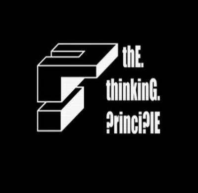 logo The Thinking Principle